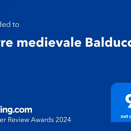 Torre Medievale * Vicopisano